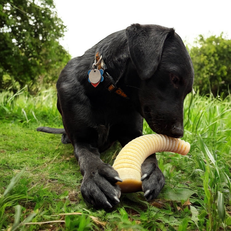 Flufflehorn Dental Antler - Indestructible Nylon Dog Chew Toy XL | USA Made