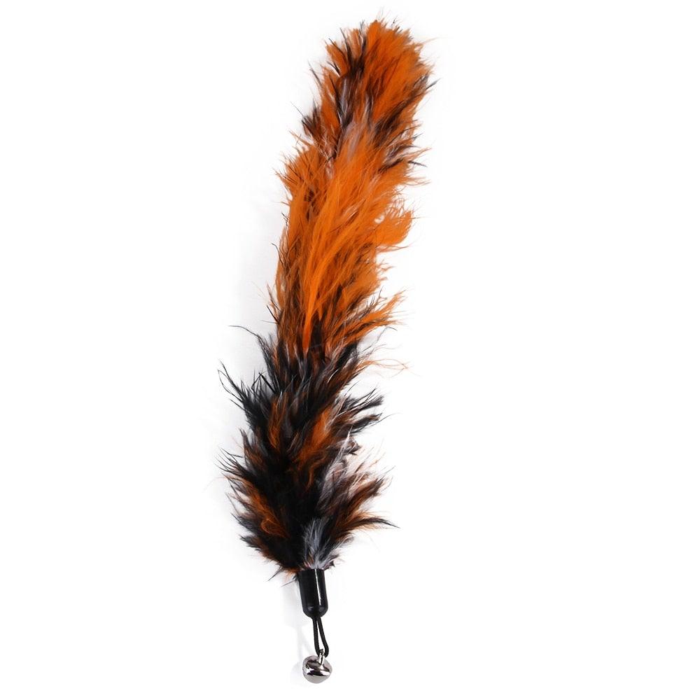 Set of 9 multicolored cat feathers toy set