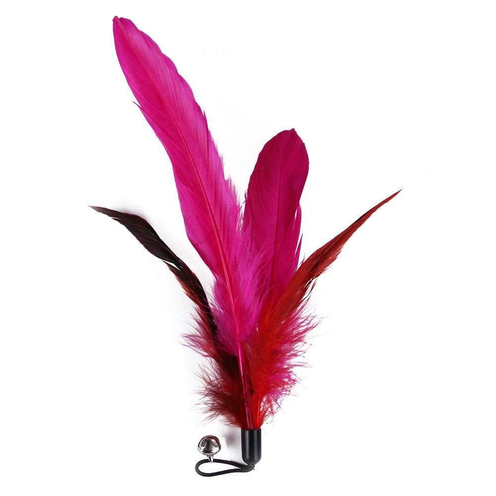 Set of 9 multicolored cat feathers toy set