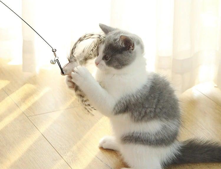 Funny Feather Bird with Bell Cat Stick Toy for Kitten/cat