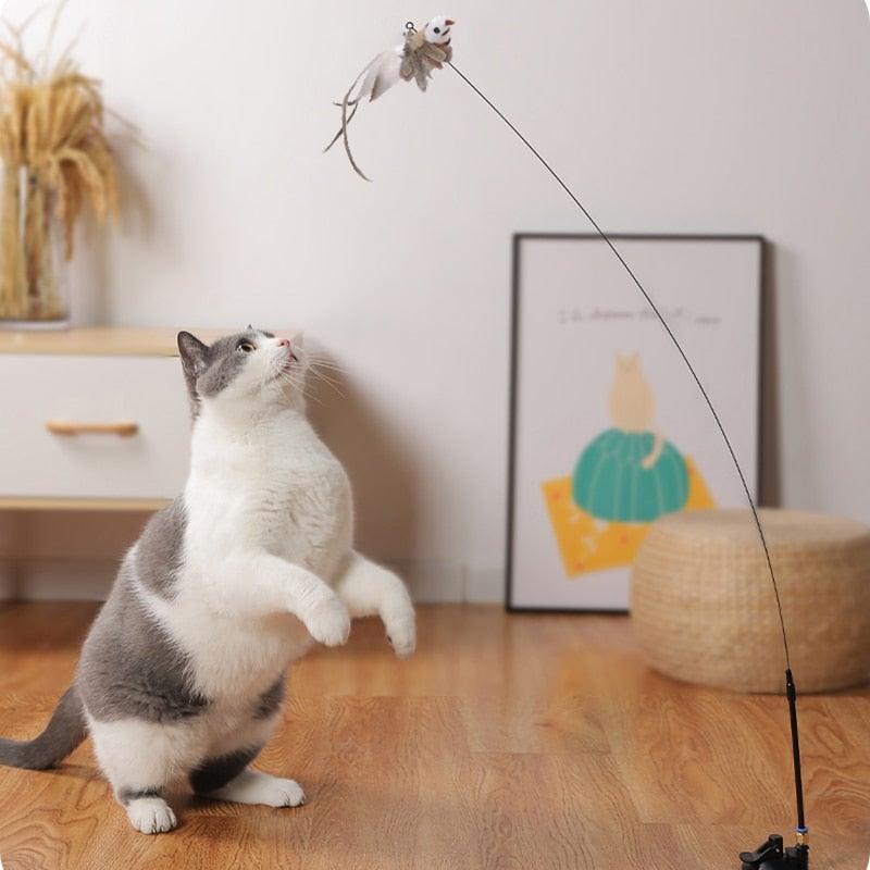 Funny Feather Bird with Bell Cat Stick Toy for Kitten/cat