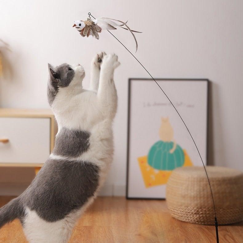 Funny Feather Bird with Bell Cat Stick Toy for Kitten/cat