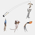 Funny Feather Bird with Bell Cat Stick Toy for Kitten/cat