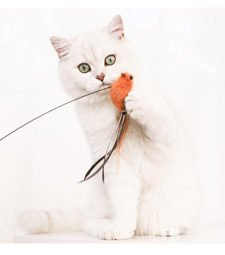Funny Feather Bird with Bell Cat Stick Toy for Kitten/cat